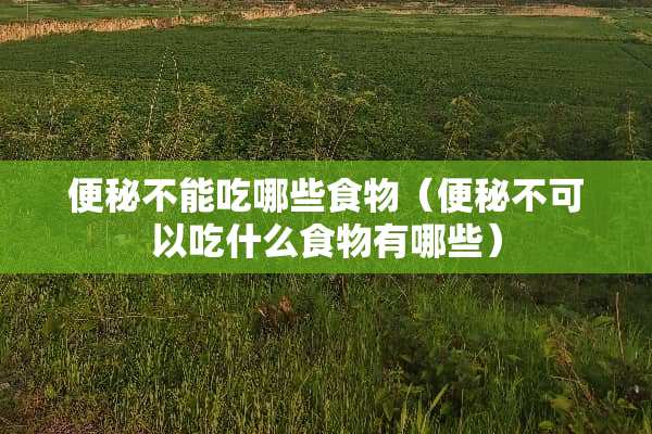 便秘不能吃哪些食物（便秘不可以吃什么食物有哪些）