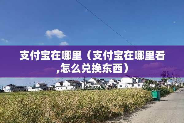 支付宝在哪里（支付宝在哪里看,怎么兑换东西）