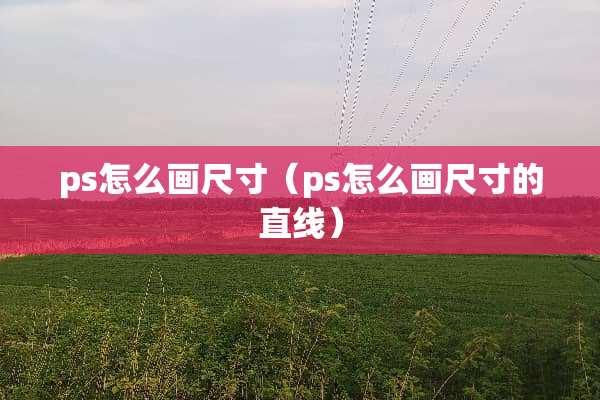 ps怎么画尺寸（ps怎么画尺寸的直线）
