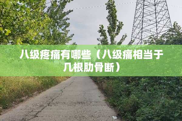 八级疼痛有哪些（八级痛相当于几根肋骨断）