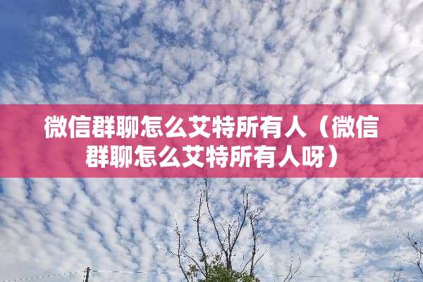微信群聊怎么艾特所有人（微信群聊怎么艾特所有人呀）