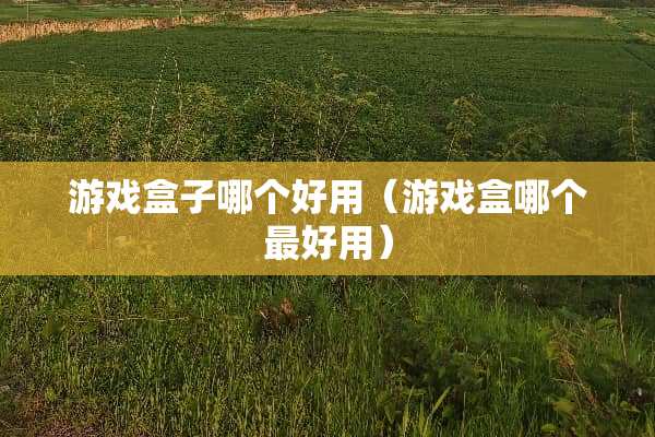 游戏盒子哪个好用（游戏盒哪个最好用）