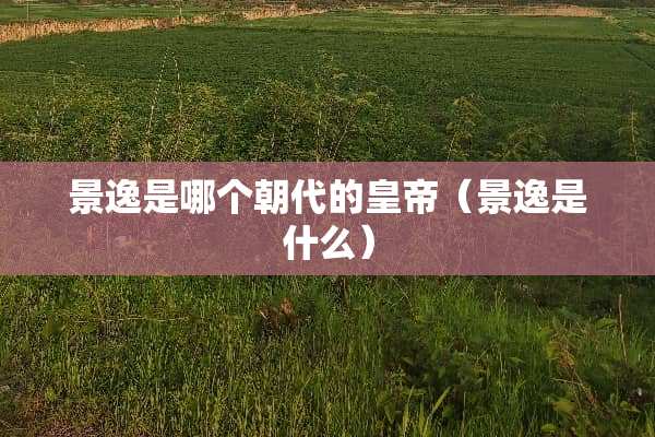 景逸是哪个朝代的皇帝（景逸是什么）