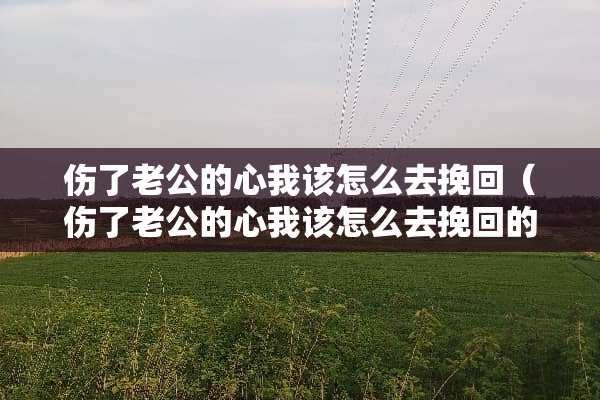 伤了老公的心我该怎么去挽回（伤了老公的心我该怎么去挽回的句子）