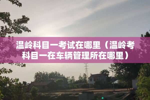 温岭科目一考试在哪里（温岭考科目一在车辆管理所在哪里）