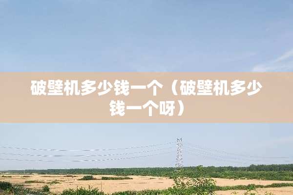 破壁机多少钱一个（破壁机多少钱一个呀）
