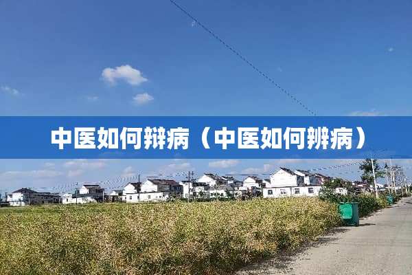 中医如何辩病（中医如何辨病）