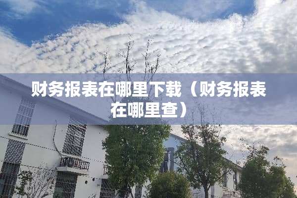 财务报表在哪里下载（财务报表在哪里查）