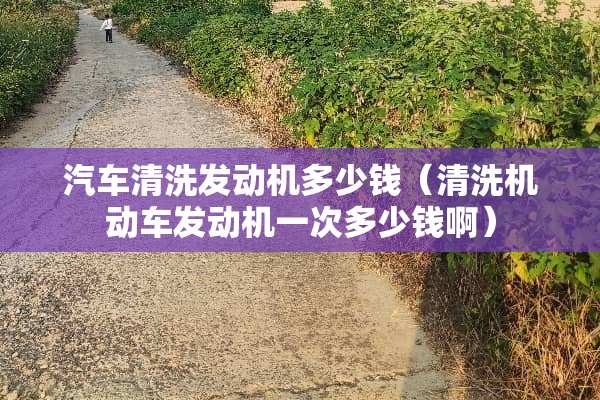 汽车清洗发动机多少钱（清洗机动车发动机一次多少钱啊）