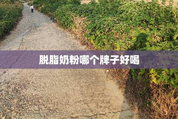 脱脂奶粉哪个牌子好喝
