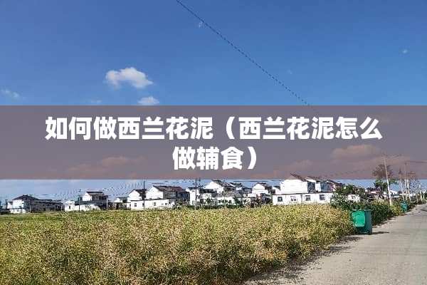 如何做西兰花泥（西兰花泥怎么做辅食）