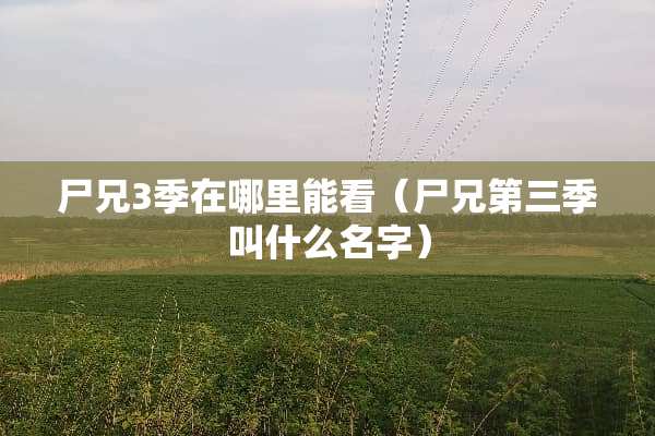 尸兄3季在哪里能看（尸兄第三季叫什么名字）