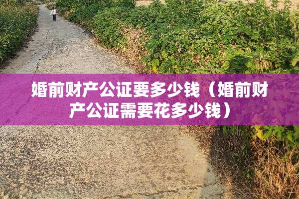 婚前财产公证要多少钱（婚前财产公证需要花多少钱）