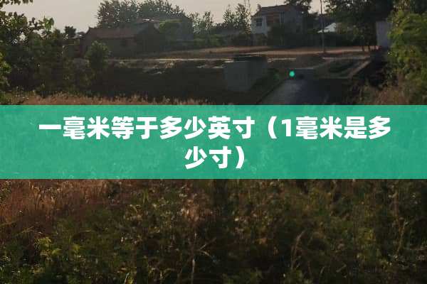 一毫米等于多少英寸（1毫米是多少寸）