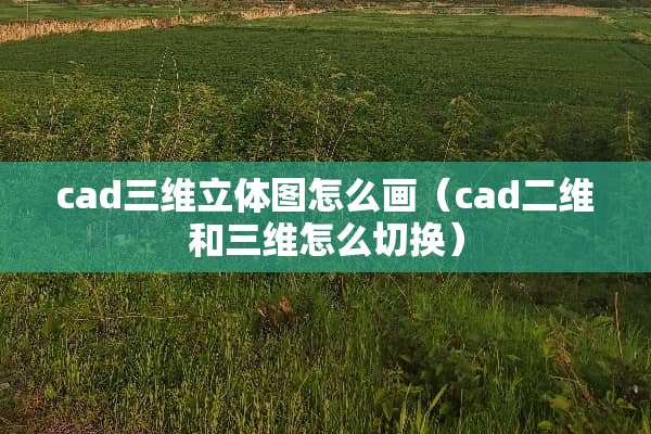 cad三维立体图怎么画（cad二维和三维怎么切换）