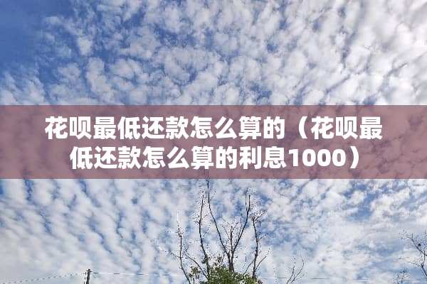 花呗最低还款怎么算的（花呗最低还款怎么算的利息1000）