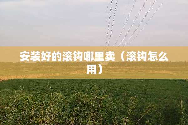 安装好的滚钩哪里卖（滚钩怎么用）