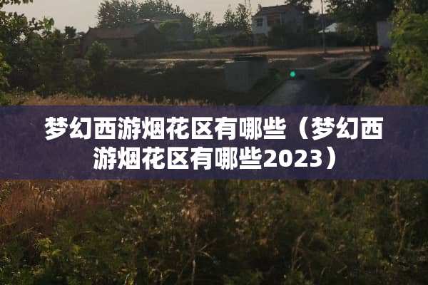 梦幻西游烟花区有哪些（梦幻西游烟花区有哪些2023）