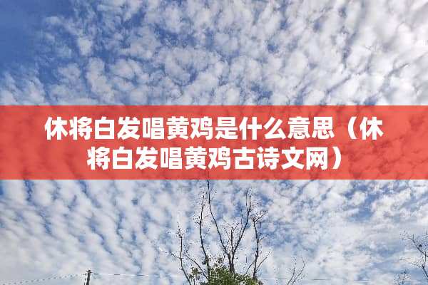 休将白发唱黄鸡是什么意思（休将白发唱黄鸡古诗文网）