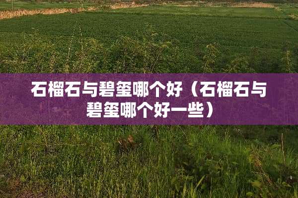 石榴石与碧玺哪个好（石榴石与碧玺哪个好一些）