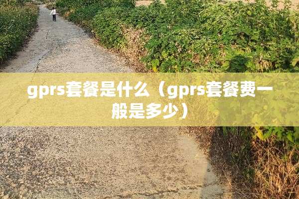 gprs套餐是什么（gprs套餐费一般是多少）