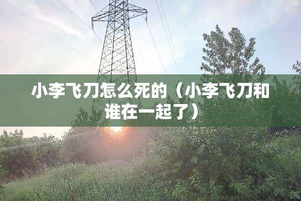 小李飞刀怎么死的（小李飞刀和谁在一起了）
