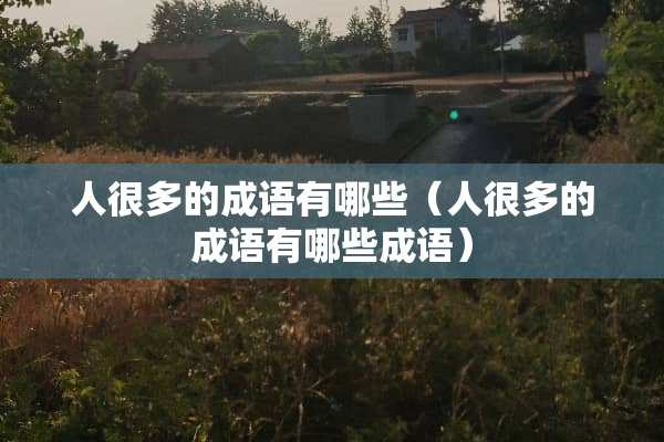 人很多的成语有哪些（人很多的成语有哪些成语）