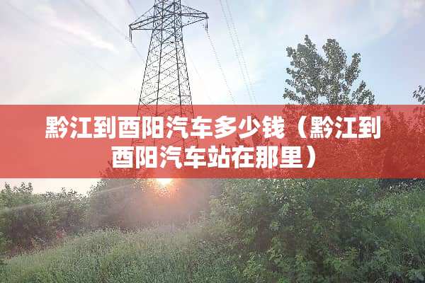 黔江到酉阳汽车多少钱（黔江到酉阳汽车站在那里）