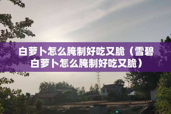 白萝卜怎么腌制好吃又脆（雪碧白萝卜怎么腌制好吃又脆）