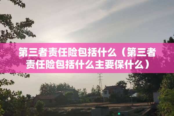 第三者责任险包括什么（第三者责任险包括什么主要保什么）