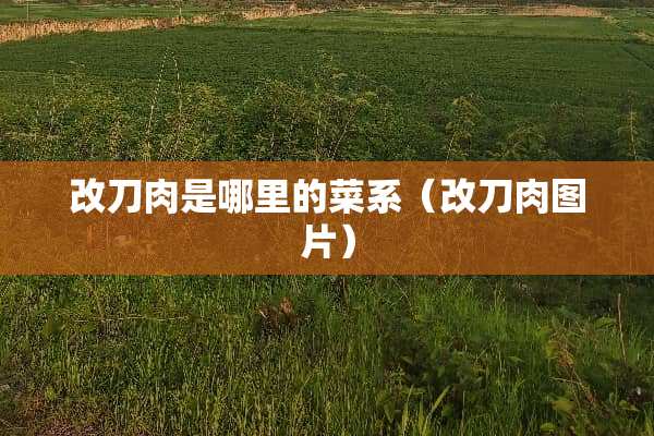 改刀肉是哪里的菜系（改刀肉图片）