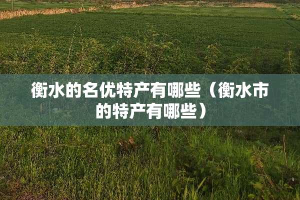 衡水的名优特产有哪些（衡水市的特产有哪些）