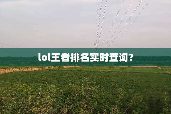 lol王者排名实时查询？