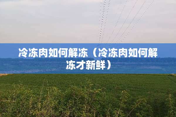 冷冻肉如何解冻（冷冻肉如何解冻才新鲜）