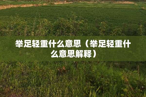 举足轻重什么意思（举足轻重什么意思解释）