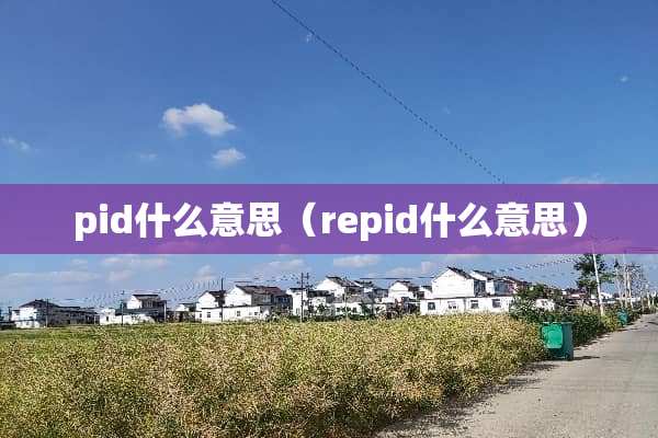 pid什么意思（repid什么意思）