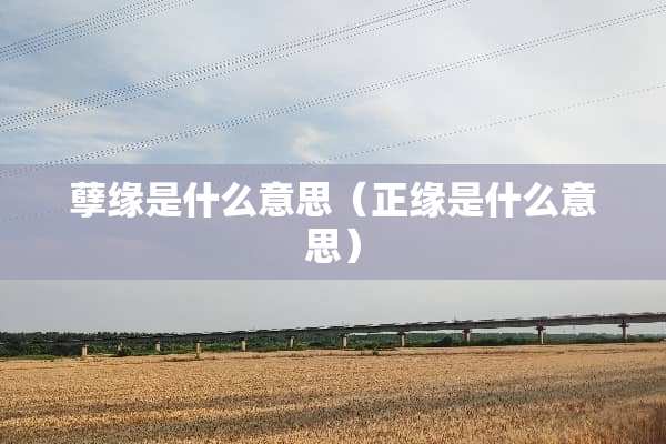 孽缘是什么意思（正缘是什么意思）