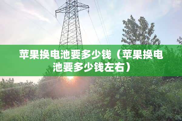 苹果换电池要多少钱（苹果换电池要多少钱左右）