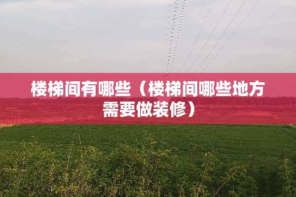 楼梯间有哪些（楼梯间哪些地方需要做装修）