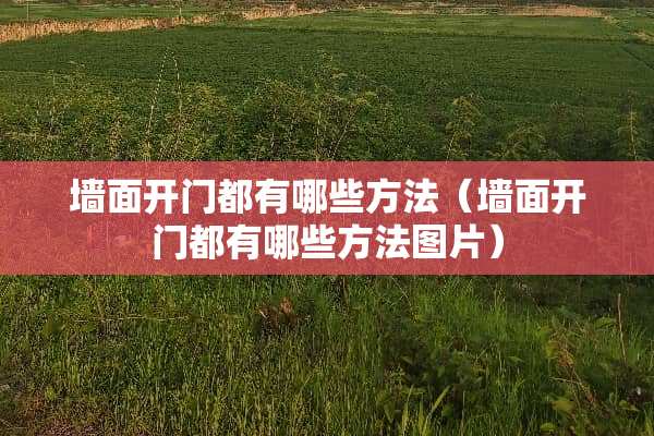 墙面开门都有哪些方法（墙面开门都有哪些方法图片）