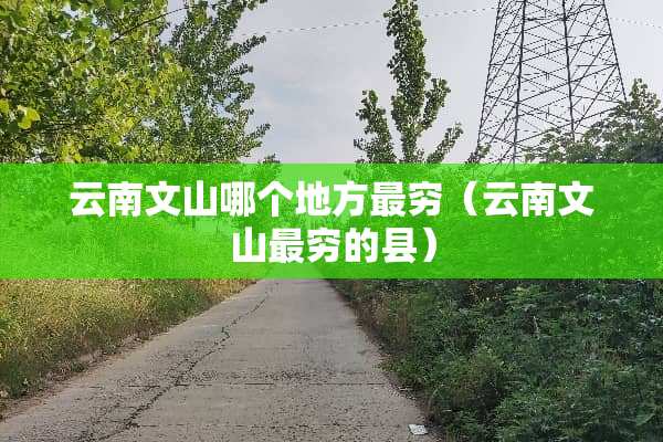 云南文山哪个地方最穷（云南文山最穷的县）