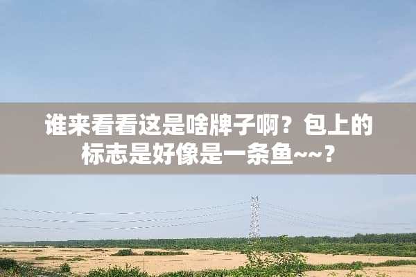 谁来看看这是啥牌子啊？包上的标志是好像是一条鱼~~？