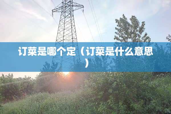 订菜是哪个定（订菜是什么意思）
