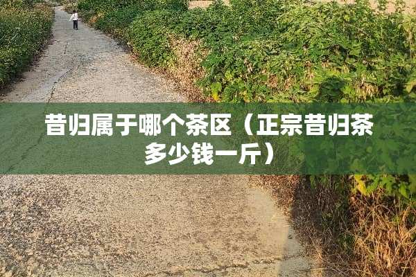 昔归属于哪个茶区（正宗昔归茶多少钱一斤）