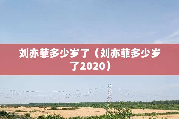 刘亦菲多少岁了（刘亦菲多少岁了2020）