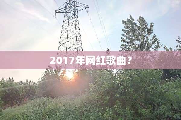 2017年网红歌曲？