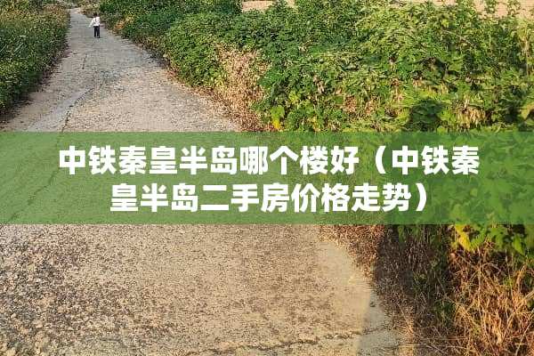 中铁秦皇半岛哪个楼好（中铁秦皇半岛二手房价格走势）