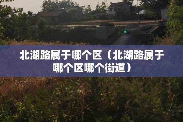 北湖路属于哪个区（北湖路属于哪个区哪个街道）