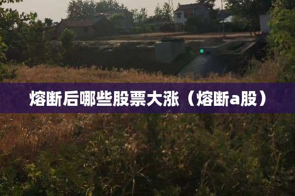 熔断后哪些股票大涨（熔断a股）