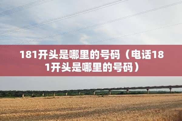 181开头是哪里的号码（电话181开头是哪里的号码）